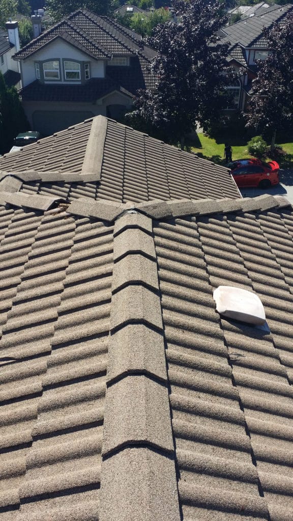 Moss Removal